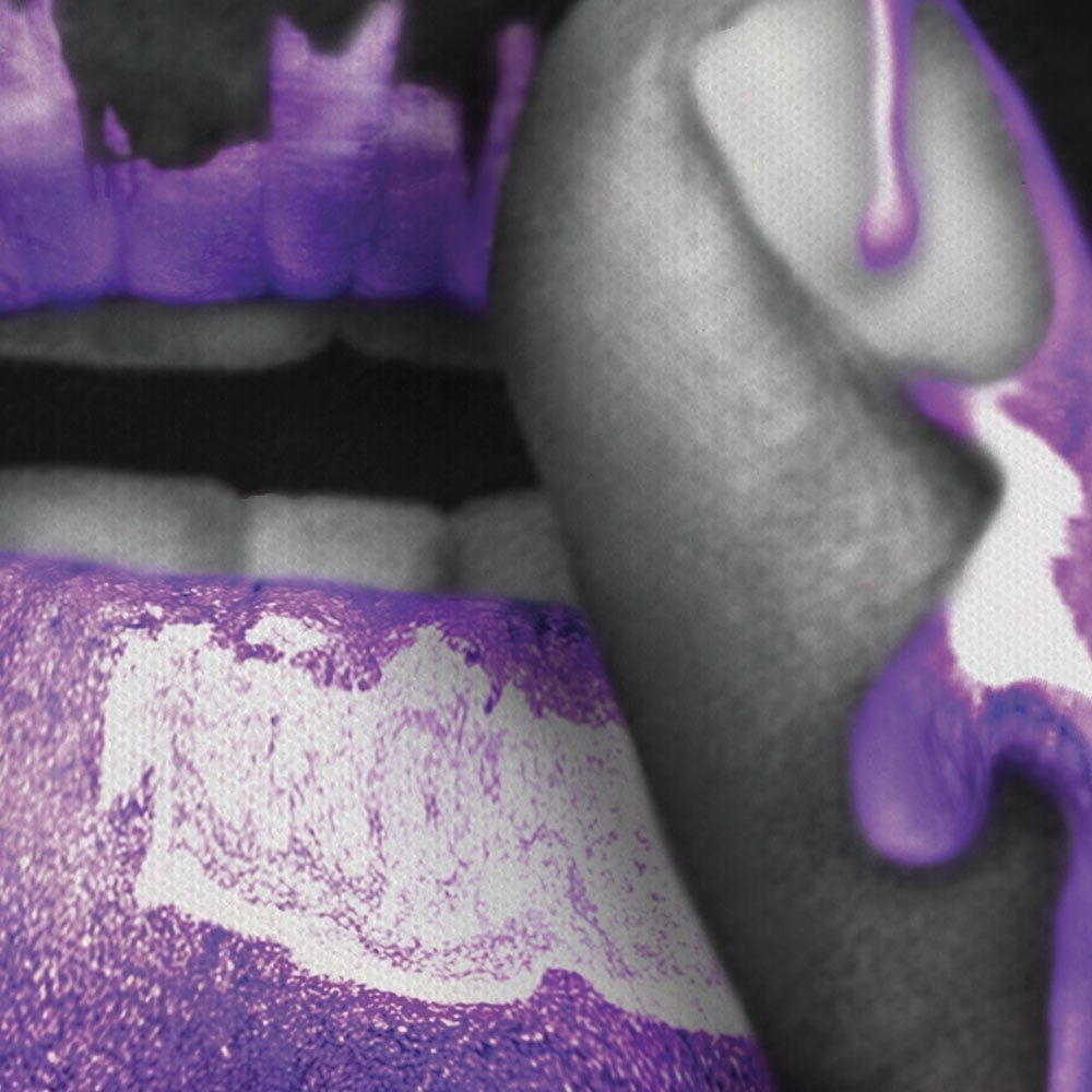 Dripping Purple Canvas Print wall art product H Cleary / Independent