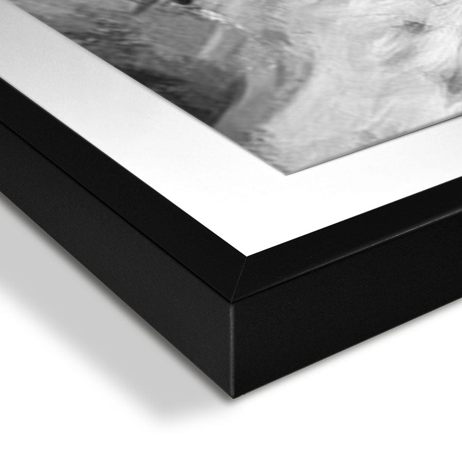 Eagle Eye Framed Art Print wall art product Mohammadreza Zeidabadi / Shutterstock