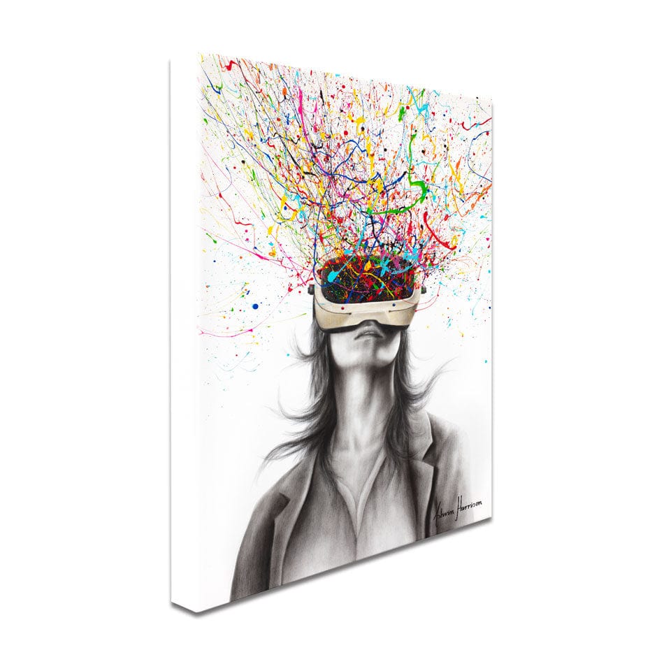 Filtered Reality Canvas Print wall art product Ashvin Harrison