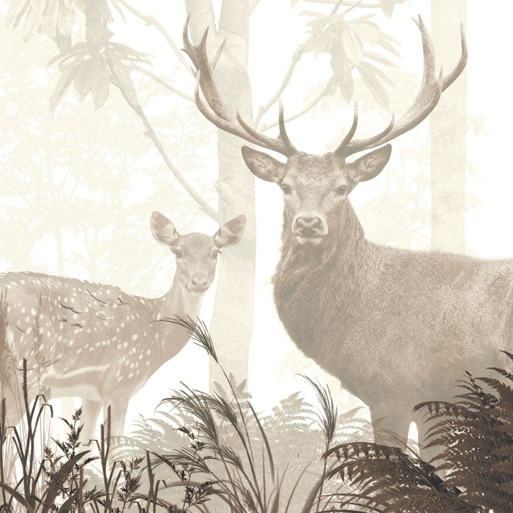 Forest Mural Framed Art Print wall art product fotooboi_kld / Shutterstock