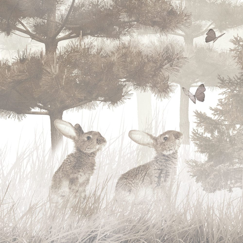 Hares Exploring Framed Art Print wall art product fotooboi_kld / Shutterstock