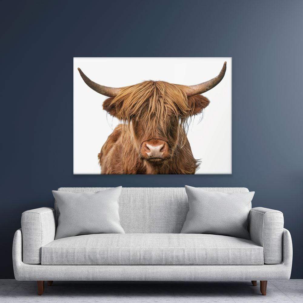Highland Bull Canvas Print wall art product The Hungry Aperture / Shutterstock