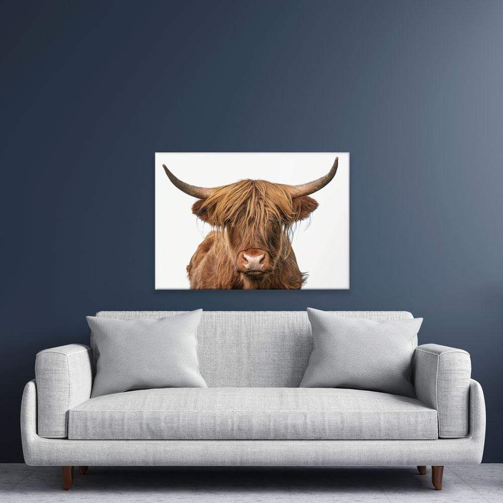 Highland Bull Canvas Print wall art product The Hungry Aperture / Shutterstock