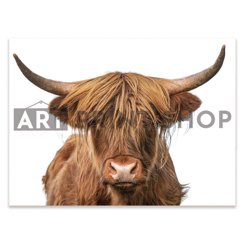 Highland Bull Canvas Print wall art product The Hungry Aperture / Shutterstock
