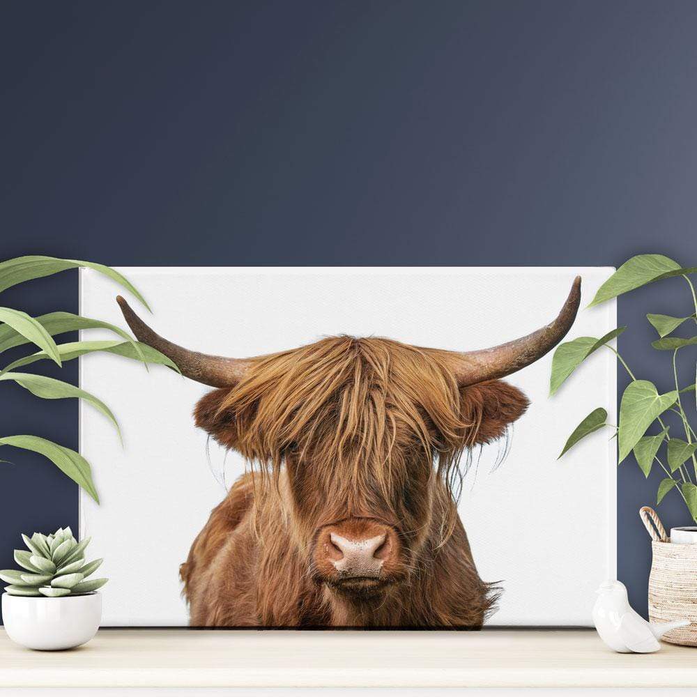 Highland Bull Canvas Print wall art product The Hungry Aperture / Shutterstock