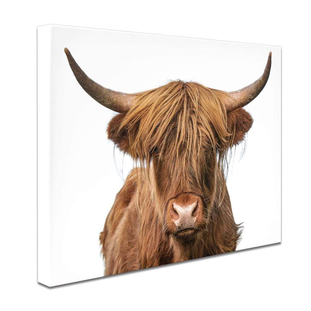 Highland Bull Canvas Print wall art product The Hungry Aperture / Shutterstock