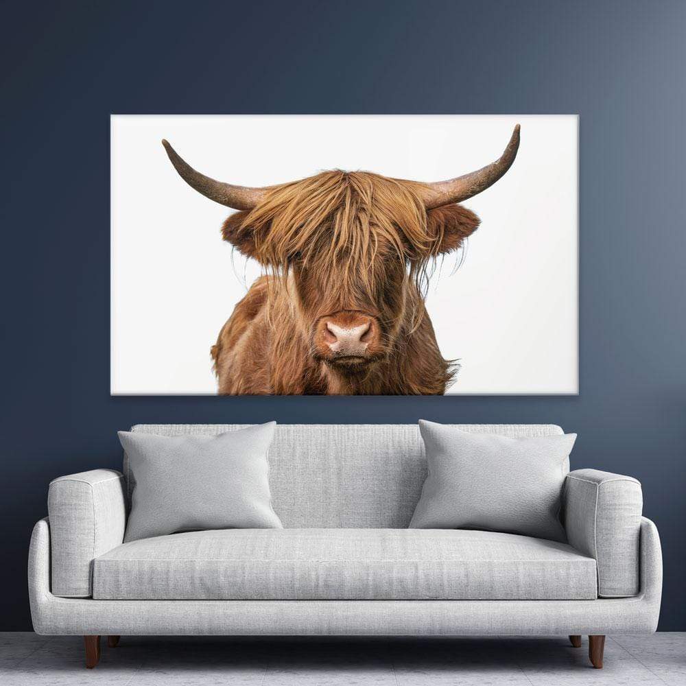 Highland Bull Canvas Print wall art product The Hungry Aperture / Shutterstock