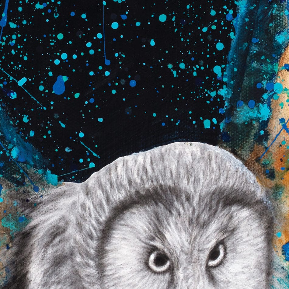 Illuminated Night Owl Framed Art Print wall art product Ashvin Harrison