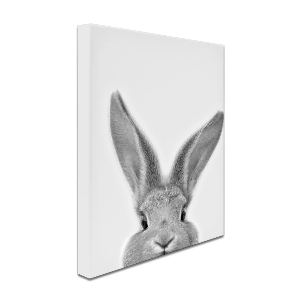 Peekaboo Bunny Portrait Canvas Print wall art product R Visser / Independent
