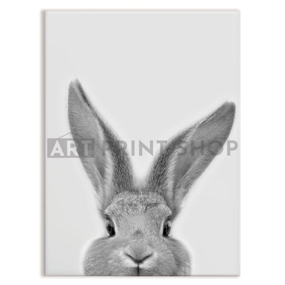 Peekaboo Bunny Portrait Canvas Print wall art product R Visser / Independent