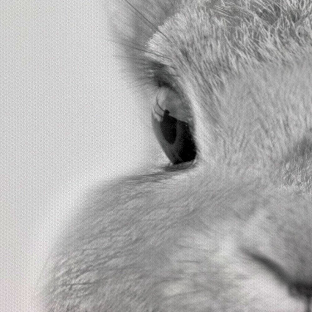 Peekaboo Bunny Portrait Canvas Print wall art product R Visser / Independent