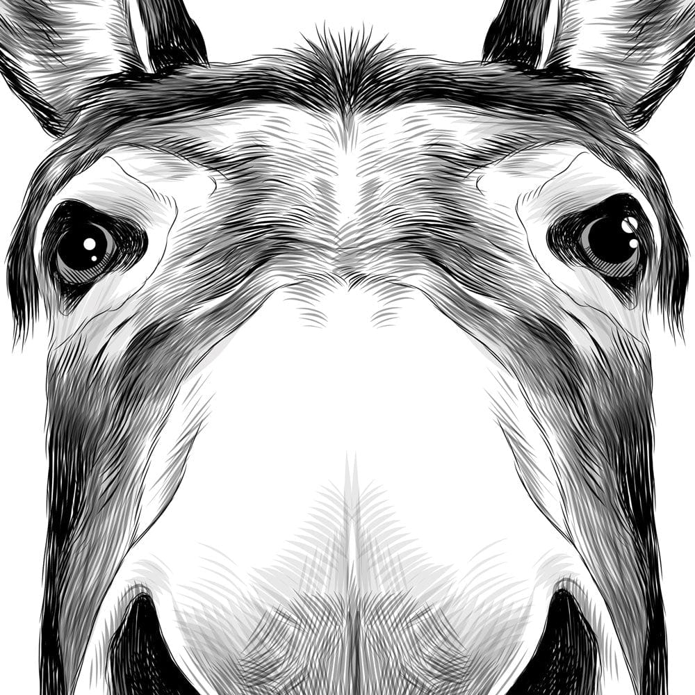 Peeking Donkey Framed Art Print wall art product Serafima Antipova / Shutterstock