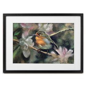 Robin Framed Art Print wall art product Marc Little / Shutterstock