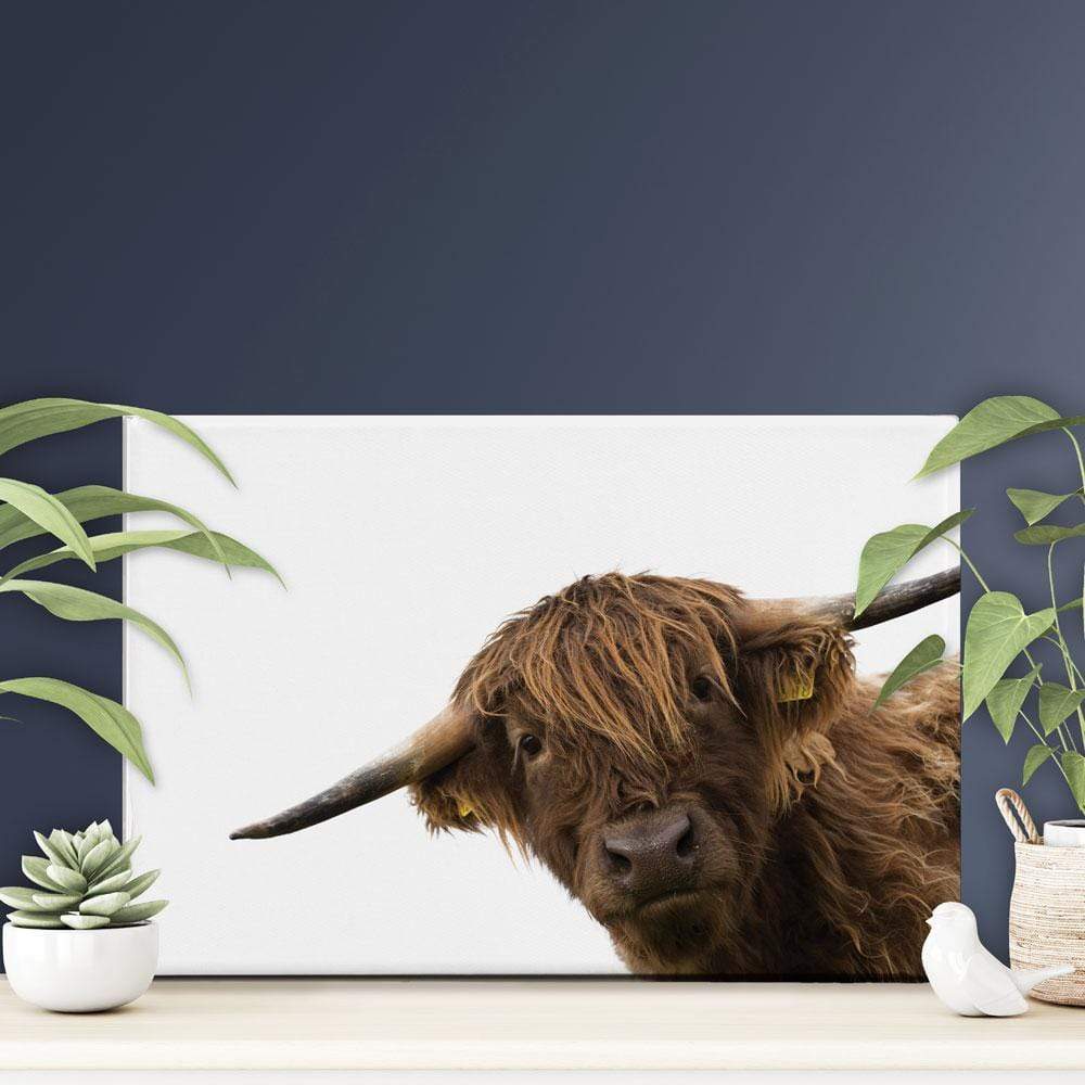 Side Peeking Highland Cow Canvas Print wall art product Massimo Cavallo / Shutterstock