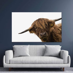 Side Peeking Highland Cow Canvas Print wall art product Massimo Cavallo / Shutterstock