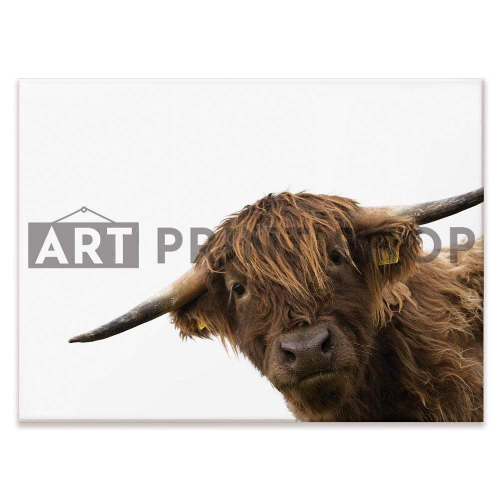Side Peeking Highland Cow Canvas Print wall art product Massimo Cavallo / Shutterstock