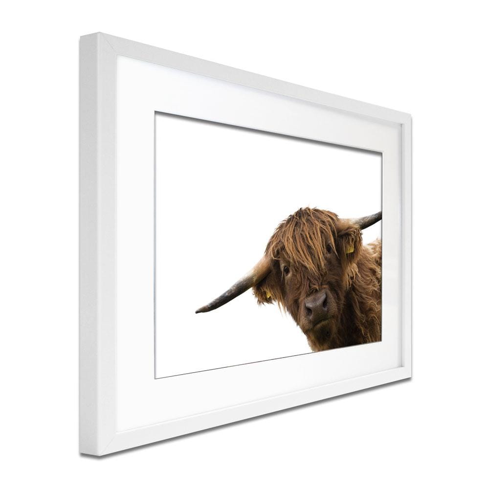 Side Peeking Highland Cow Framed Art Print wall art product Massimo Cavallo / Shutterstock