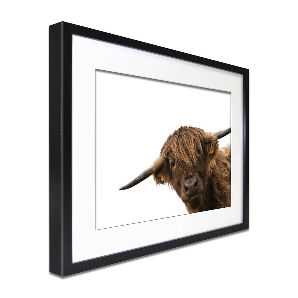 Side Peeking Highland Cow Framed Art Print wall art product Massimo Cavallo / Shutterstock