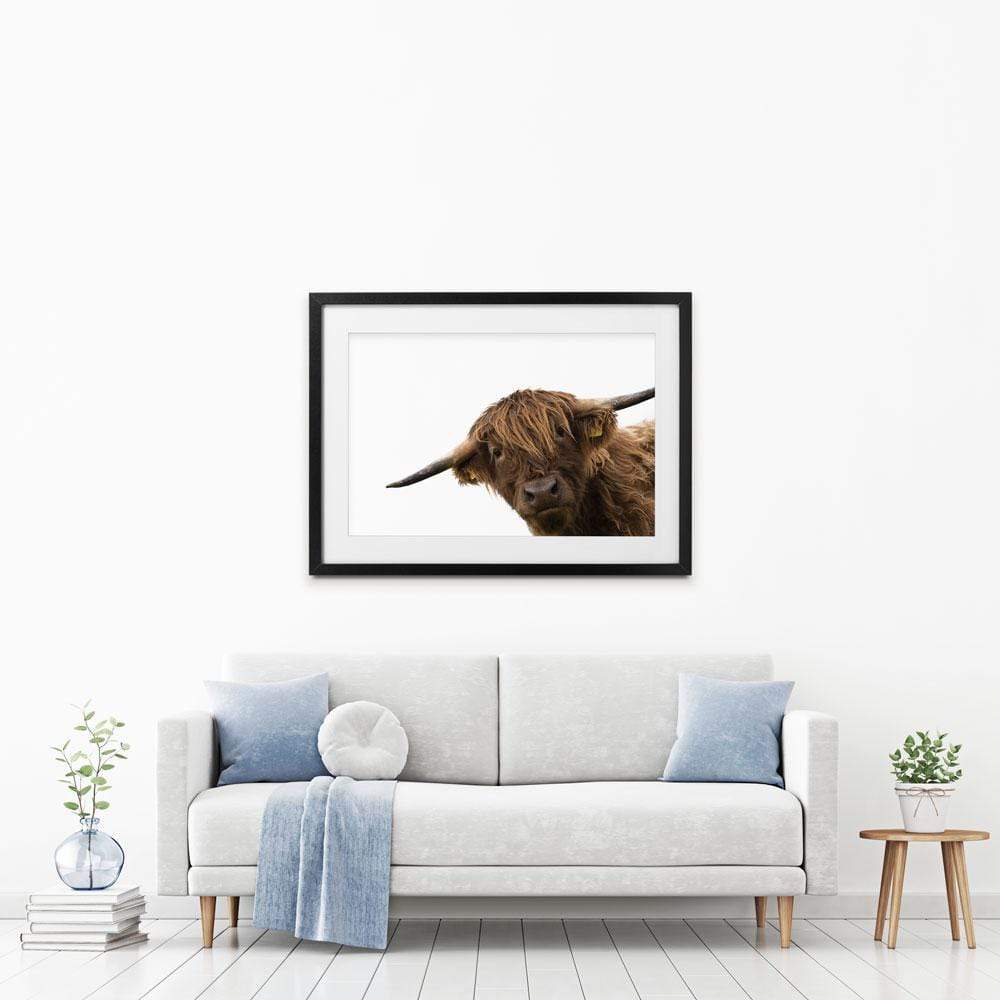 Side Peeking Highland Cow Framed Art Print wall art product Massimo Cavallo / Shutterstock