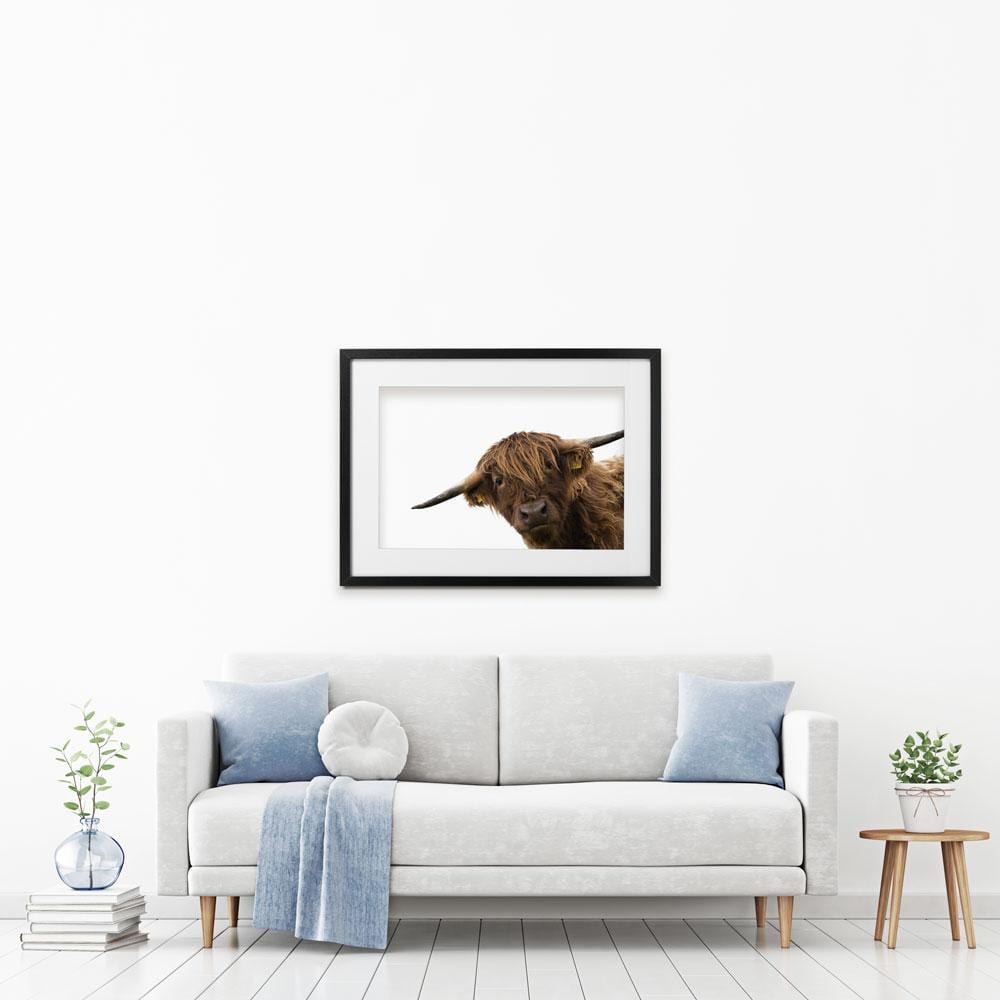 Side Peeking Highland Cow Framed Art Print wall art product Massimo Cavallo / Shutterstock