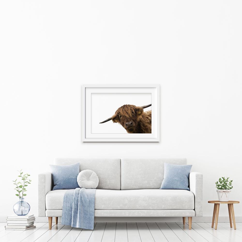 Side Peeking Highland Cow Framed Art Print wall art product Massimo Cavallo / Shutterstock