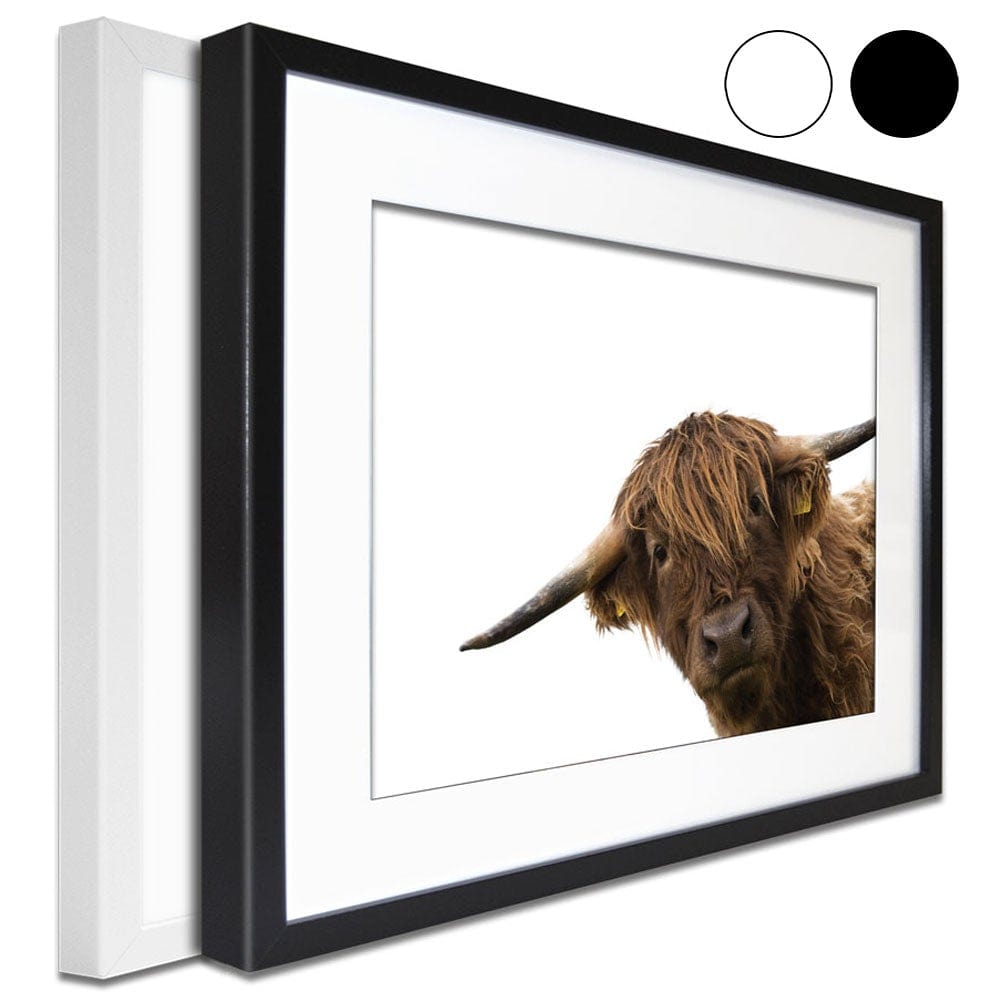 Side Peeking Highland Cow Framed Art Print wall art product Massimo Cavallo / Shutterstock