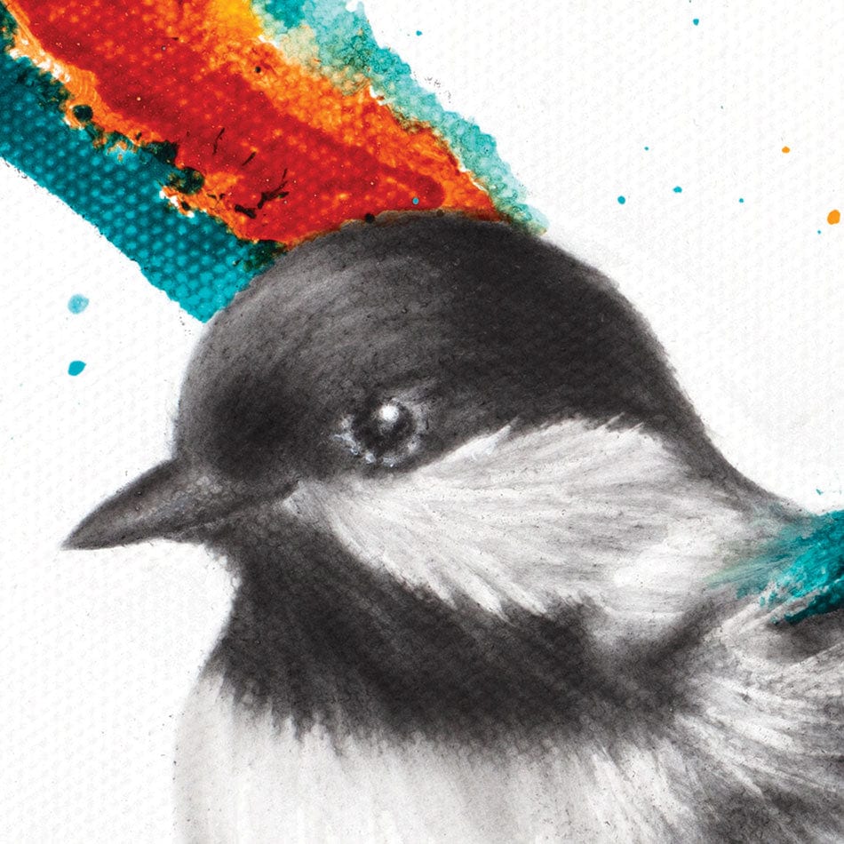 Solo Sounds Bird Framed Art Print wall art product Ashvin Harrison