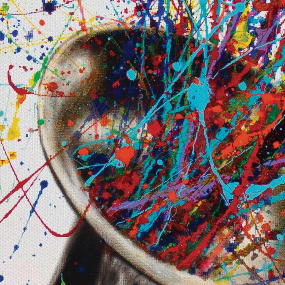 Soul Of Sound Canvas Print wall art product Ashvin Harrison
