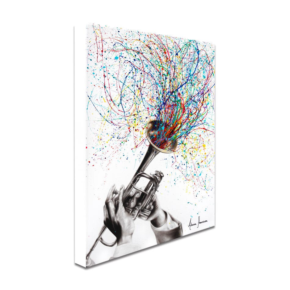 Soul Of Sound Canvas Print wall art product Ashvin Harrison