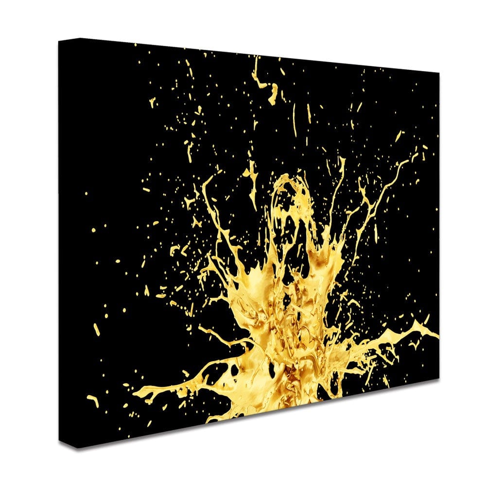 Splashes Canvas Print wall art product Christina Krivonos / Shutterstock