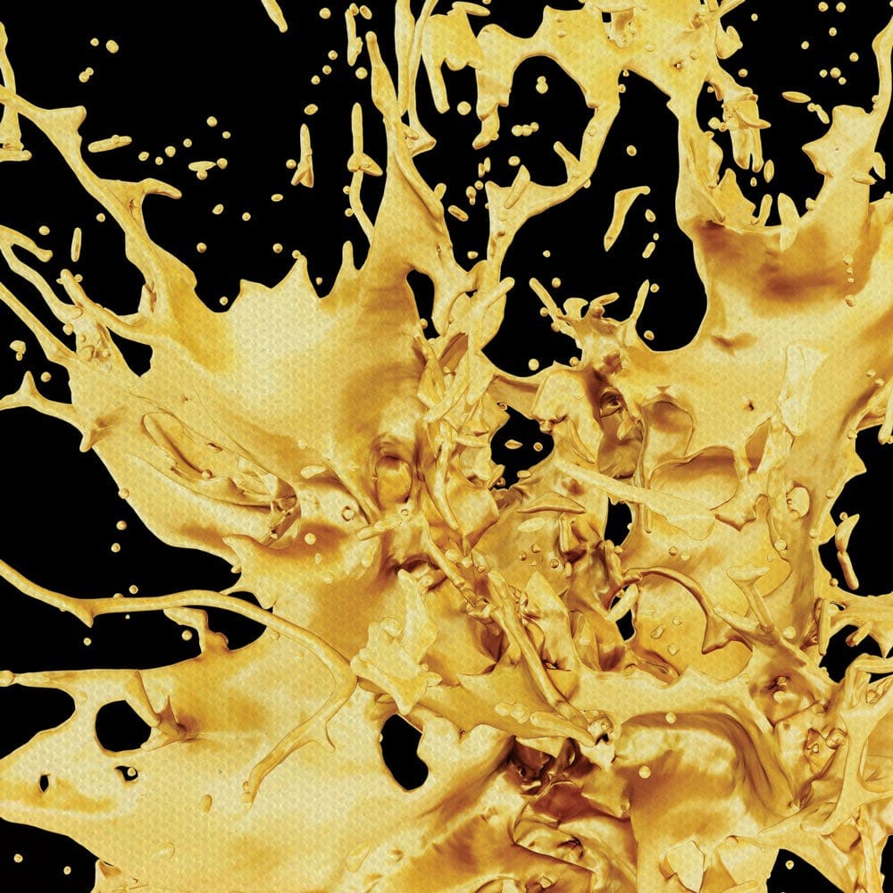 Splashes Canvas Print wall art product Christina Krivonos / Shutterstock