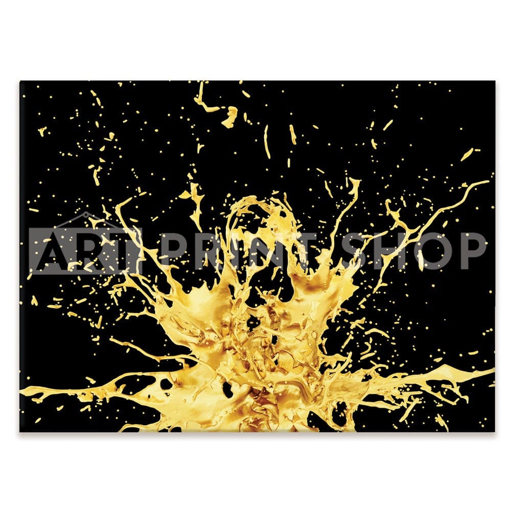 Splashes Canvas Print wall art product Christina Krivonos / Shutterstock