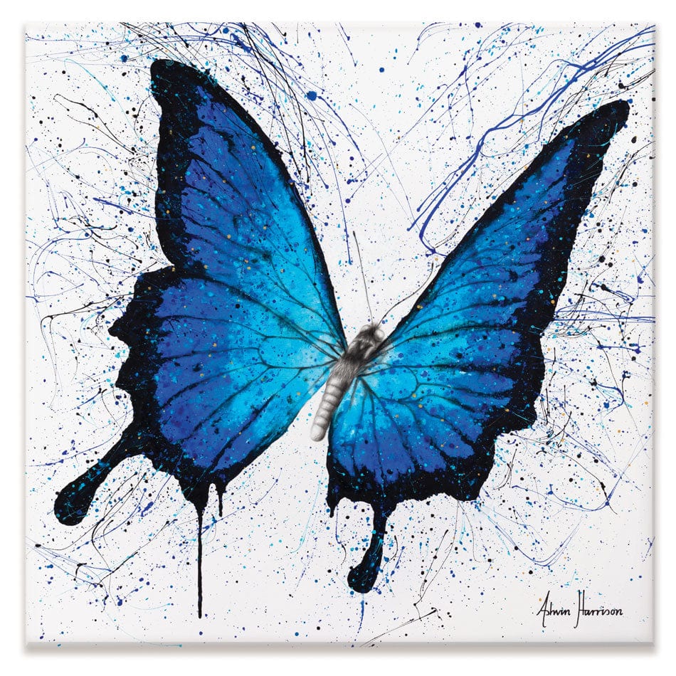 Tropics Of Blue Butterfly Canvas Print wall art product Ashvin Harrison