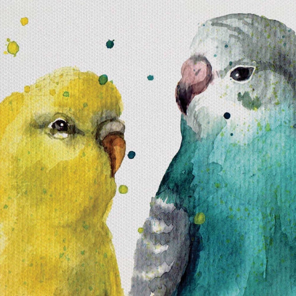 Watercolour Budgies Canvas Print wall art product Tatyana Komtsyan / Shutterstock