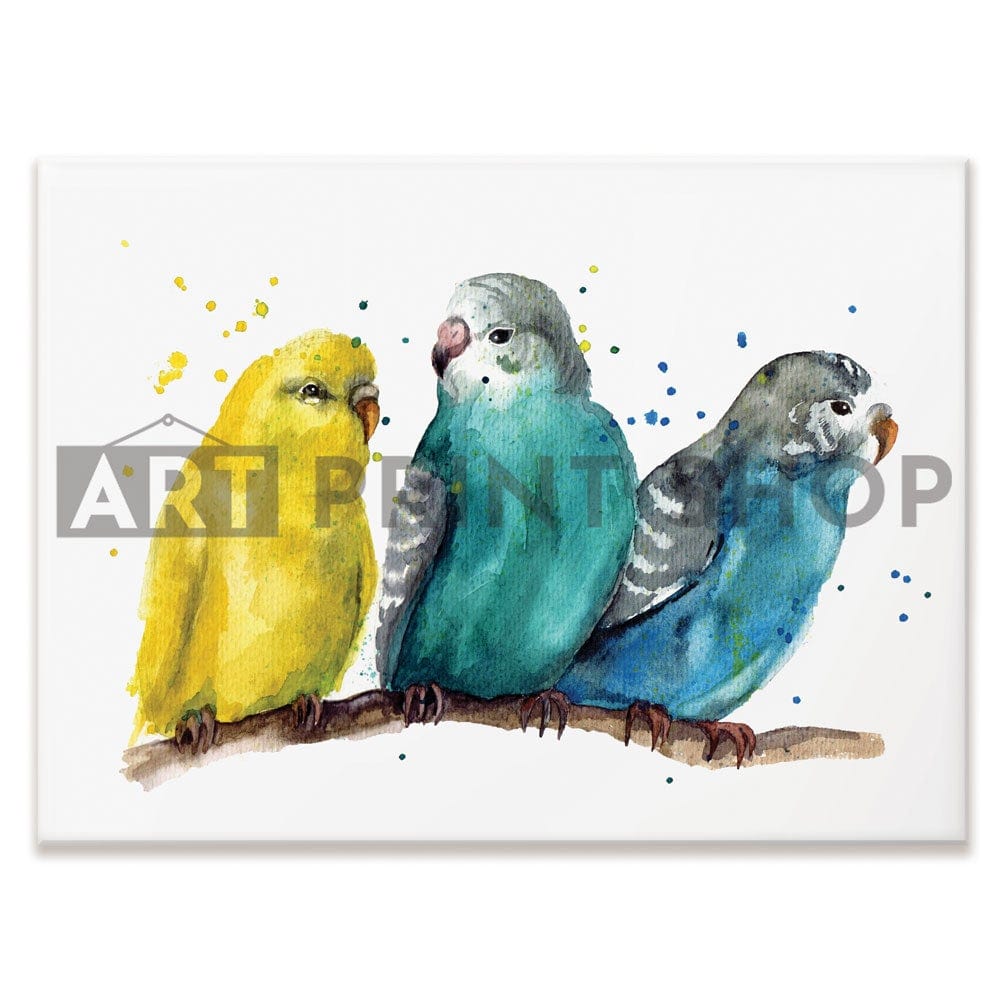 Watercolour Budgies Canvas Print wall art product Tatyana Komtsyan / Shutterstock