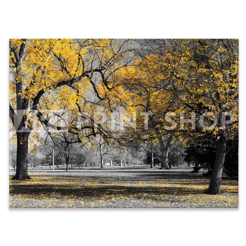 Yellow Blossom Trees Canvas Print wall art product Ryan DeBerardinis / Shutterstock