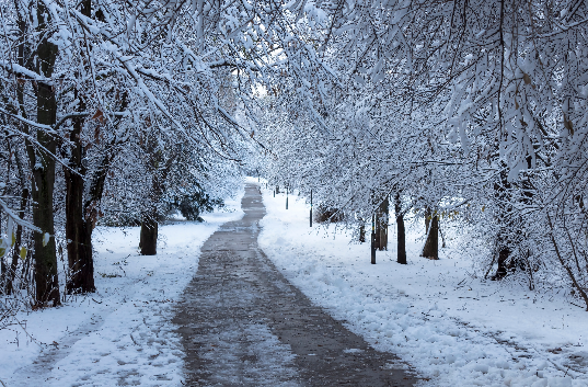 Art For Winter