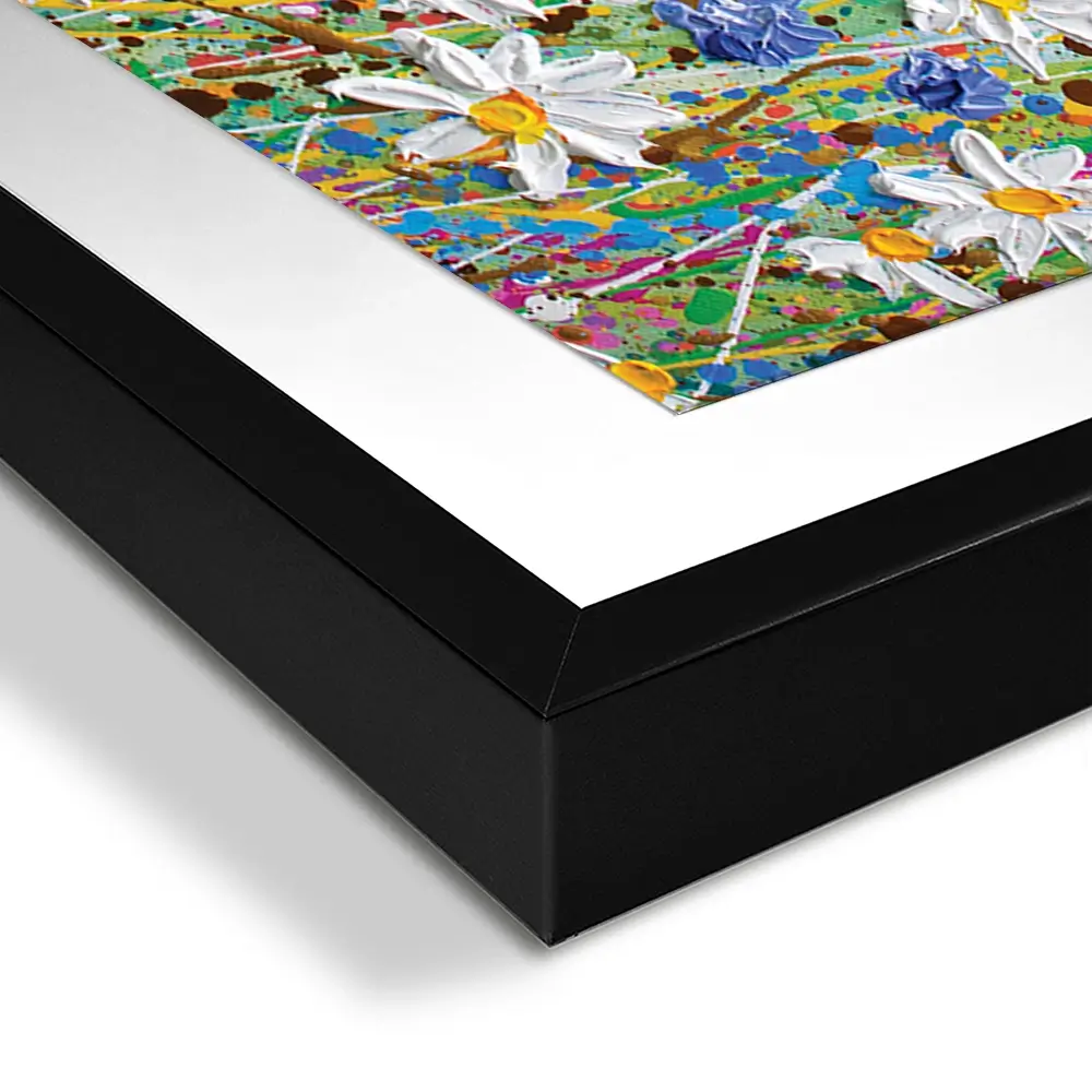 Daisy Splash Framed Art Print Trio