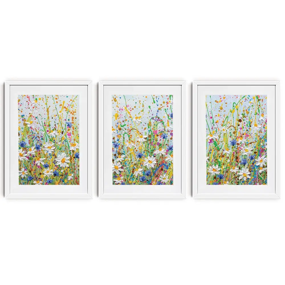 Daisy Splash Framed Art Print Trio