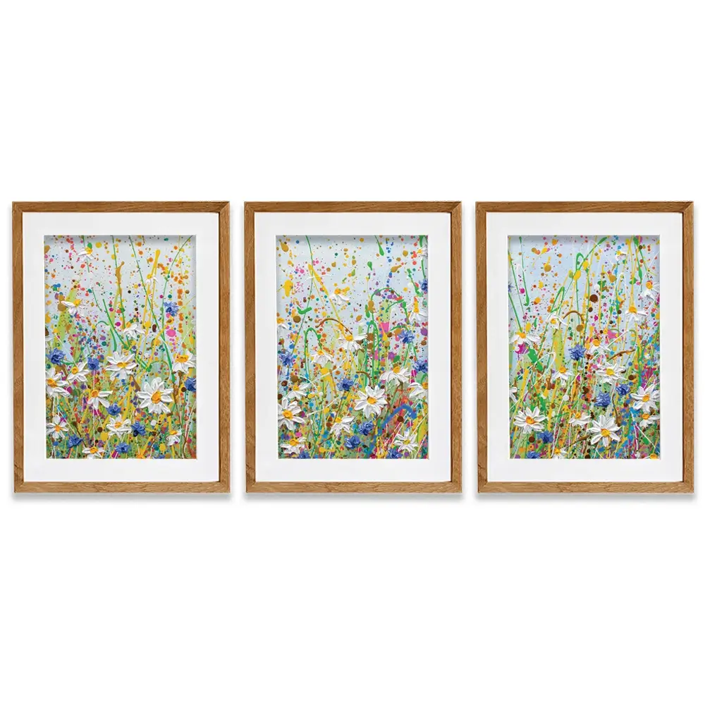 Daisy Splash Framed Art Print Trio