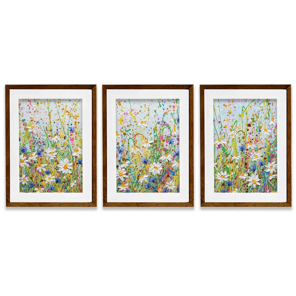 Daisy Splash Framed Art Print Trio