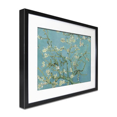 Almond Blossoms Framed Art Print