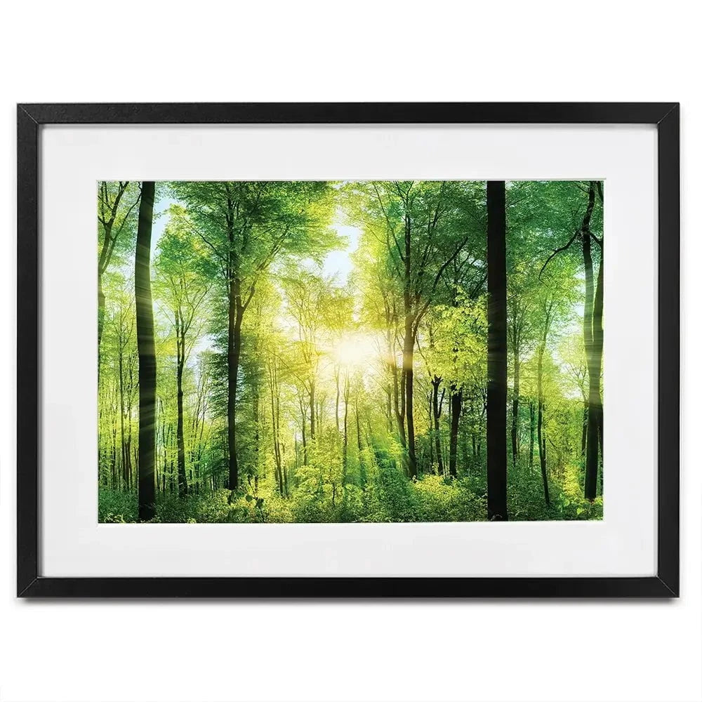 Scenic Forest Framed Art Print