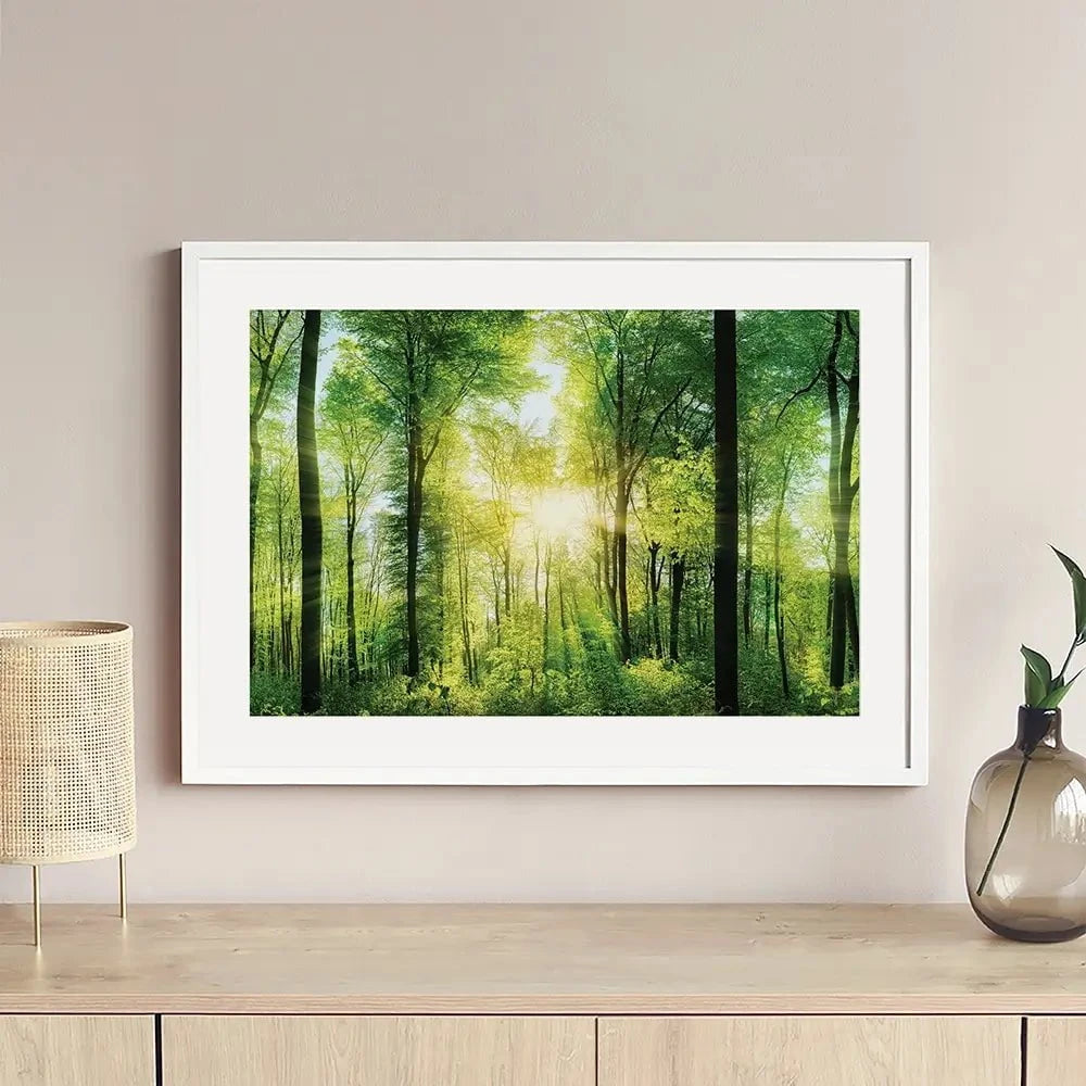 Scenic Forest Framed Art Print