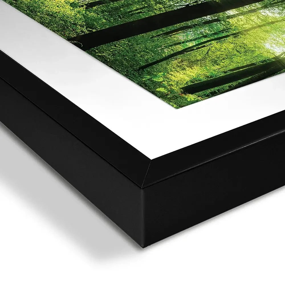 Scenic Forest Framed Art Print