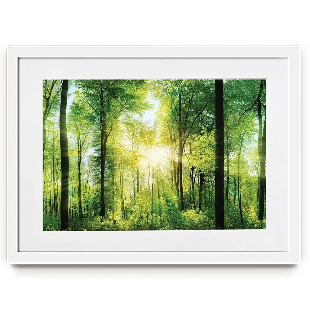 Scenic Forest Framed Art Print