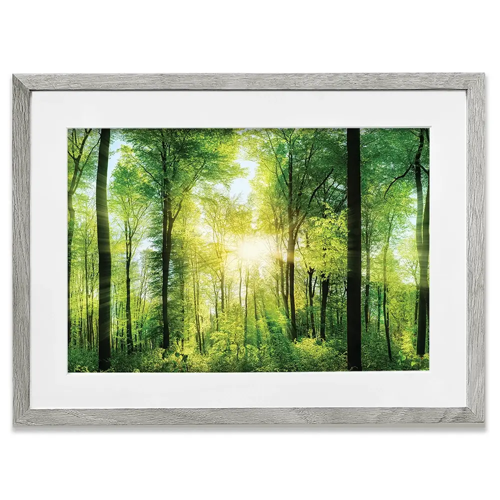 Scenic Forest Framed Art Print