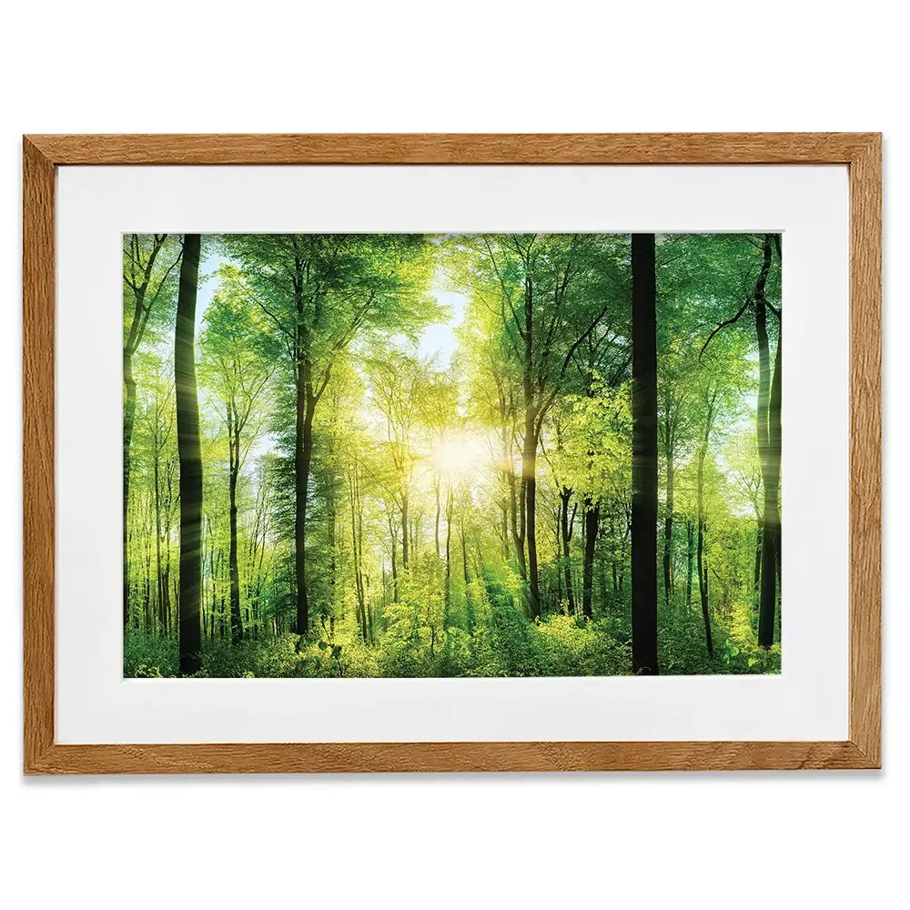 Scenic Forest Framed Art Print