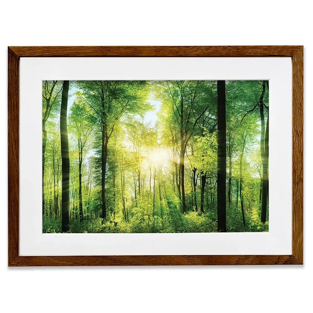 Scenic Forest Framed Art Print