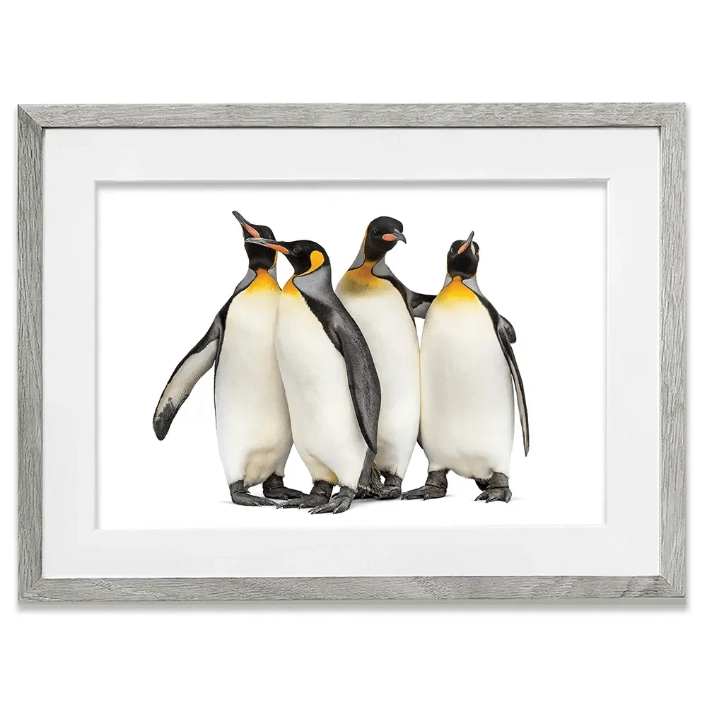 Penguin Gang Framed Art Print